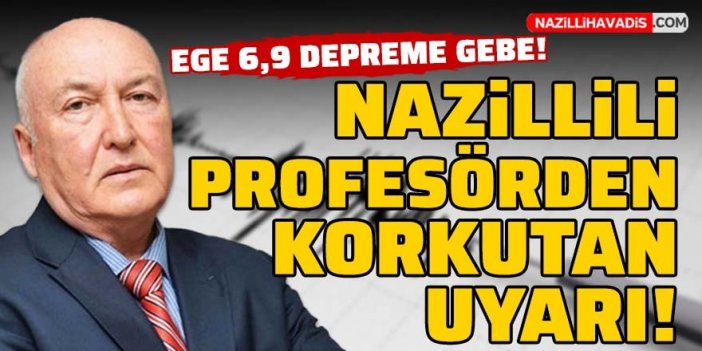 Ege beşik gibi sallanıyor: 6,9’a gebe…