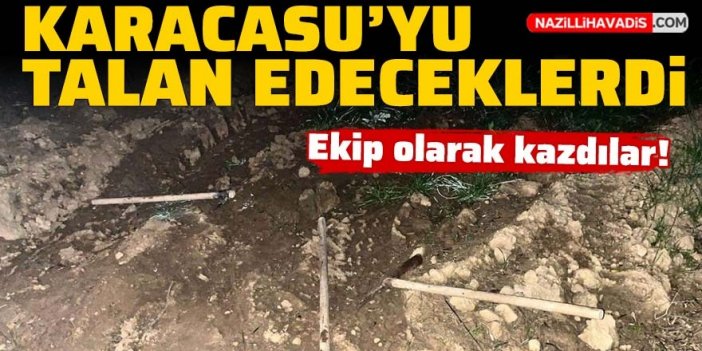 Karacasu'da kaçak kazı yaparken yakalandılar: 11 gözaltı