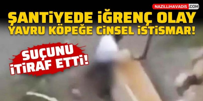 Şantiyede iğrenç olay! Yavru köpeğe cinsel istismarda bulundu