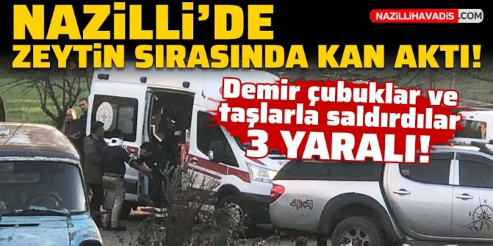 Nazilli’de zeytinyağı fabrikasında kavga: 3 yaralı