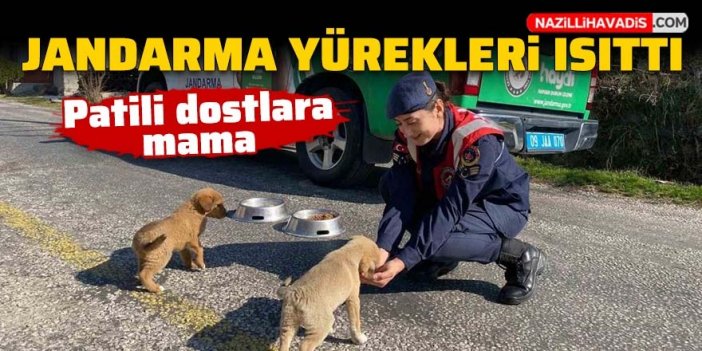 Jandarmadan patili dostlara mama