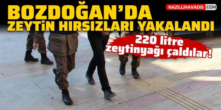 Bozdoğan’da zeytinyağı hırsızları yakalandı