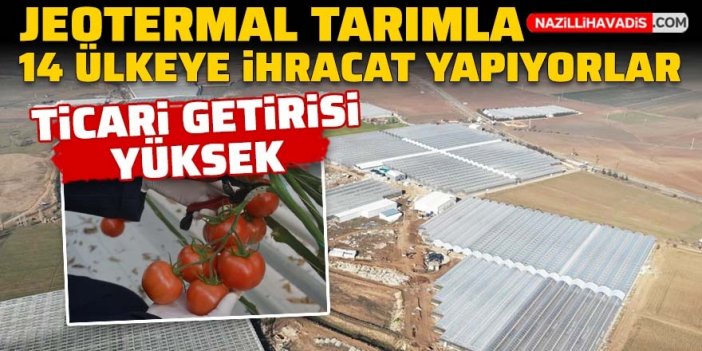 Jeotermal tarımla 14 ülkeye ihracat yapıyorlar