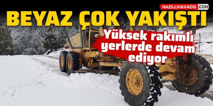 Aydın'a kar çok yakıştı