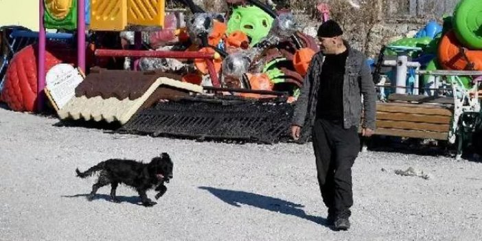 Felçli köpek 'Karam', ilgi ve sevgiyle yeniden yürümeye başladı