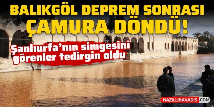 Şanlıurfa'nın simgesi Balıklıgöl'ün suyu çamur rengine döndü