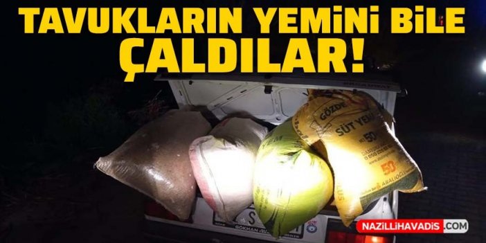 Tavuk yemi hırsızları suçüstü yakalandı