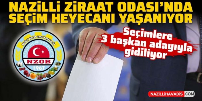 Nazilli Ziraat Odası’nda seçim heyecanı yaşanıyor