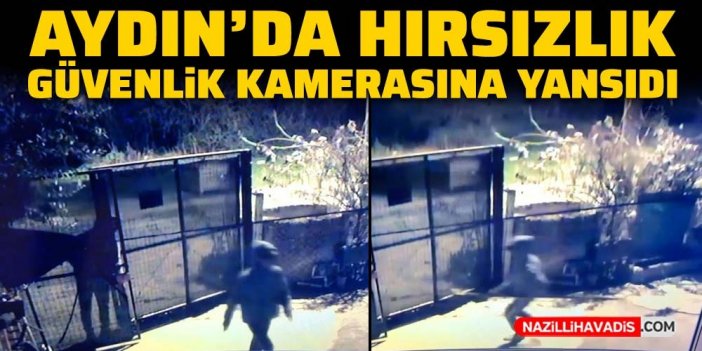 Aydın'da hırsızlık güvenlik kamerasına yansıdı