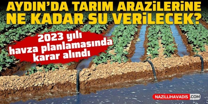 Aydın’da tarım arazilerine ne kadar su verilecek?