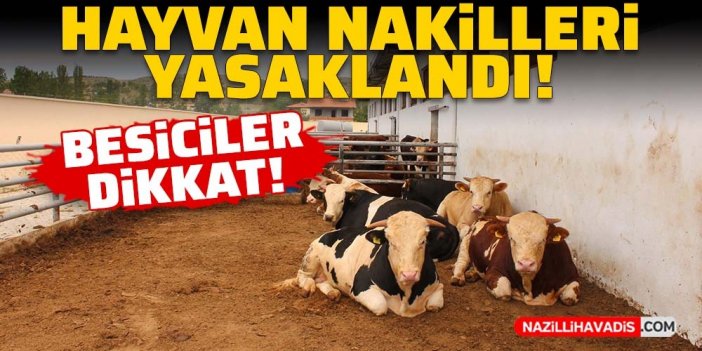 Besiciler dikkat! Hayvan nakilleri yasaklandı, hayvan pazarları kapatıldı