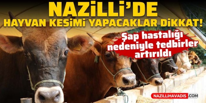 Nazilli'de hayvan kesimi yapacaklar dikkat! Şap hastalığı nedeniyle tedbirler artırıldı