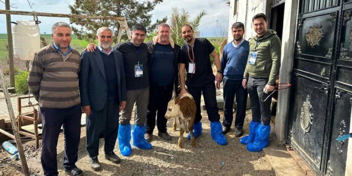 Bilim insanlarından deprem bölgesindeki hayvancılık sektörüne yardım eli