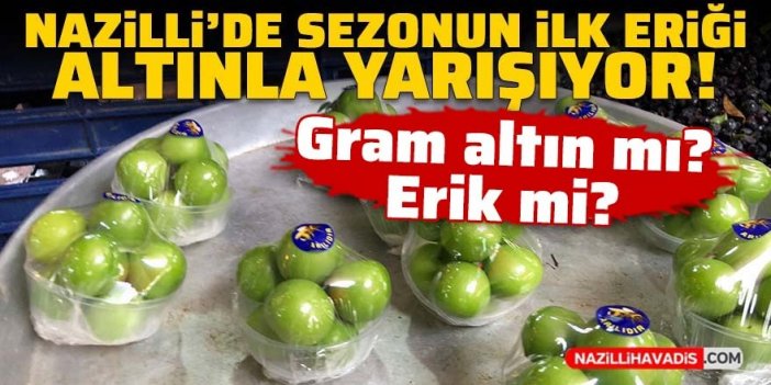 Nazilli’de eriğin kilosu gram altın fiyatına dayandı