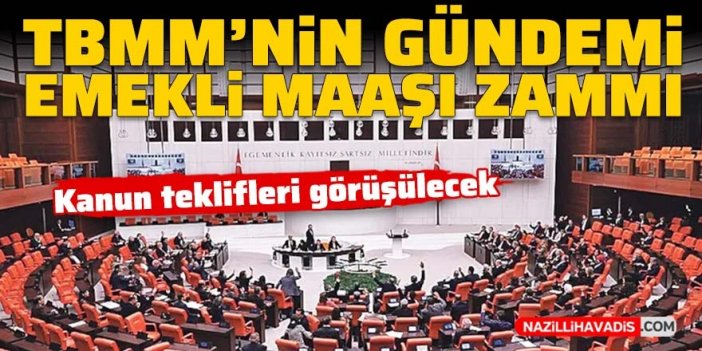 TBMM'nin gündemi emekli maaşı zammı