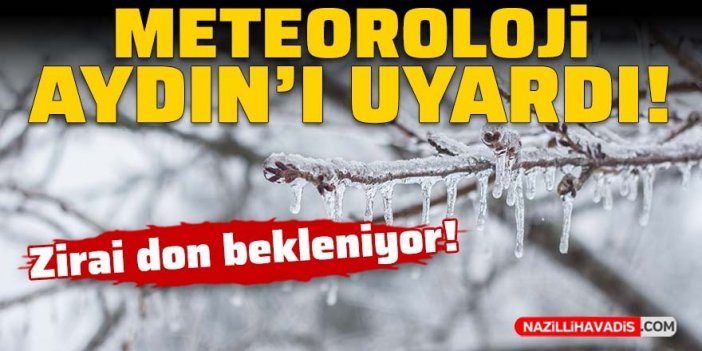 Aydın'a zirai don geliyor! Çiftçiler dikkat