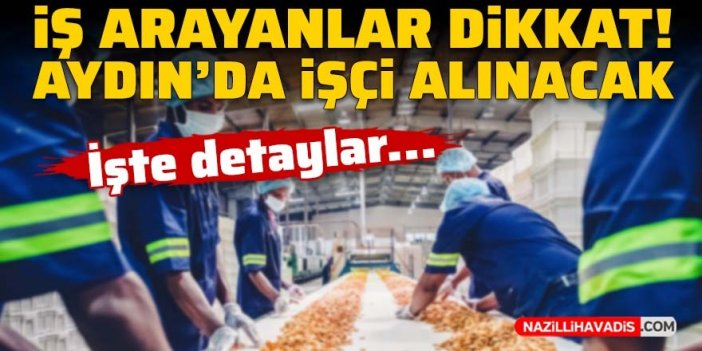 İş arayanlar dikkat! Aydın'da işçi alınacak