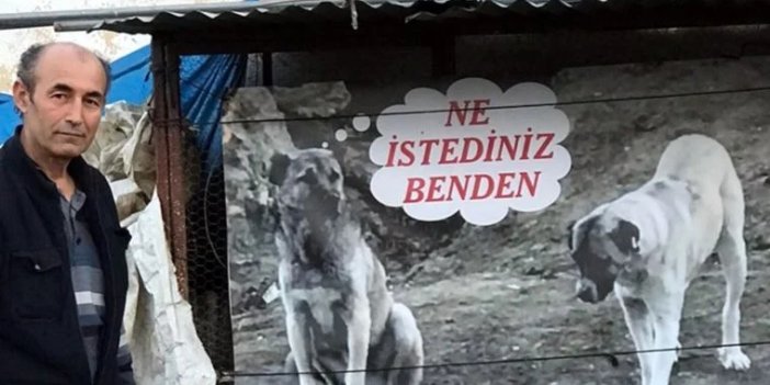 Ne istediniz benden! Zehirlenerek öldürülen köpeğin sahibinden pankartla tepki