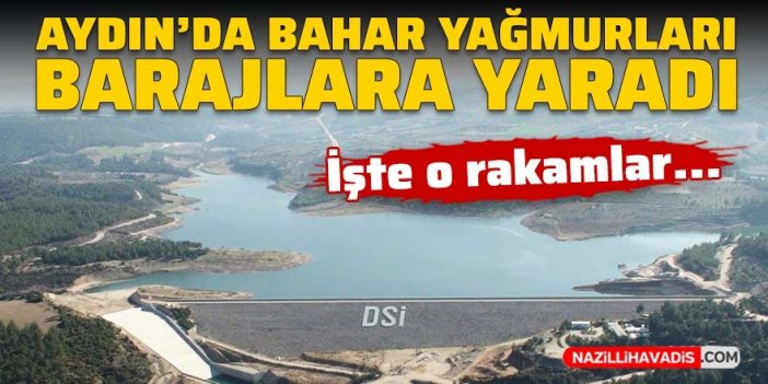 Aydın’da bahar yağmurları barajlara yaradı