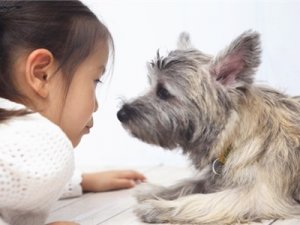 Japonya’da Çocuktan Çok Evcil Hayvan Var