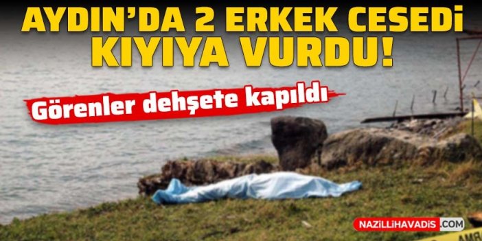 Görenler dehşete kapıldı! Aydın'da iki erkek cesedi kıyıya vurdu