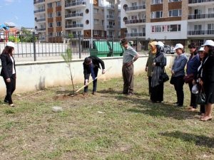 Aydın’da Dünya Astım Günü Ağaçlandırma Etkinliği Yapıldı