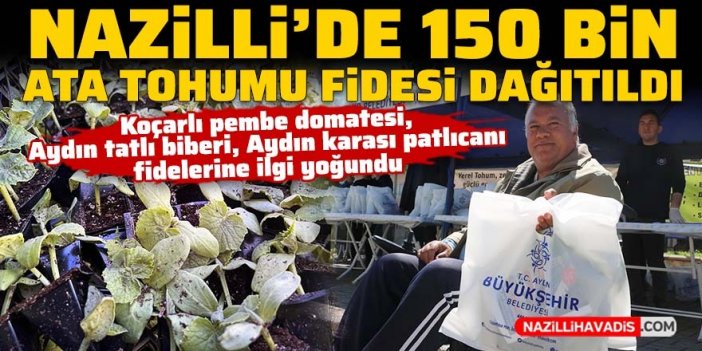 Nazilli'de 150 bin ata tohumu fidesi dağıtıldı