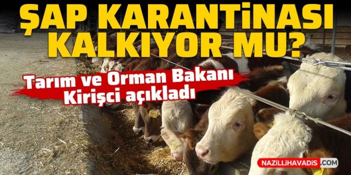 Şap karantinası kalkıyor mu? Hayvan nakli ne zaman gerçekleşecek? İşte detaylar...