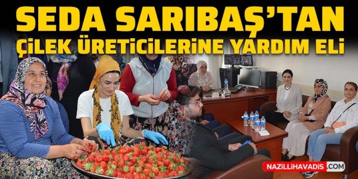 Seda Sarıbaş’tan çilek üreticilerine yardım eli