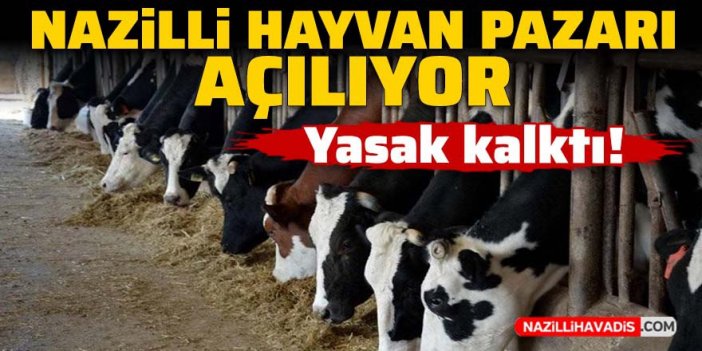 Yasak kalktı! Nazilli Hayvan Pazarı açılıyor