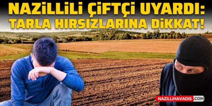 Bu sefer çiftçi uyardı: Tarla hırsızlarına dikkat