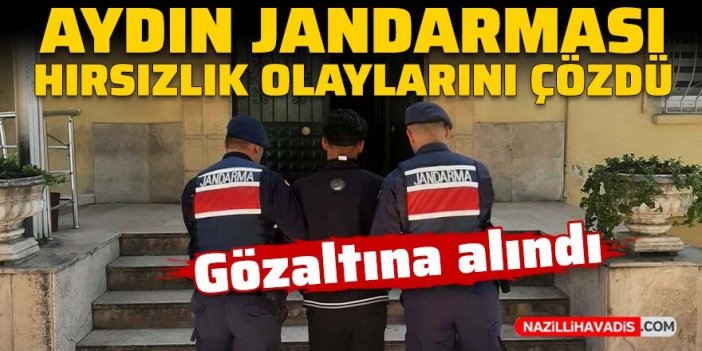 Aydın jandarması hırsızlık olaylarını aydınlattı