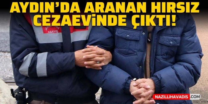 Aydın’da aranan hırsız cezaevinde çıktı!