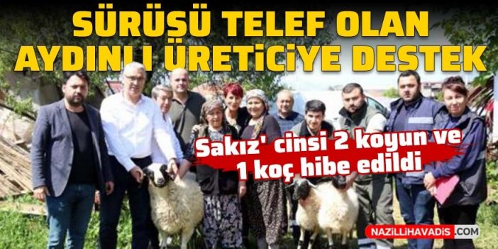 Sürüsü telef olan Aydınlı üreticiye destek geldi