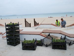 Altınkum Plajı Sezona Hazırlanıyor