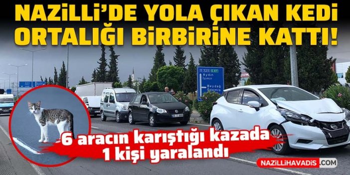 Nazilli’de yola çıkan kedi ortalığı birbirine kattı: 1 kişi yaralandı