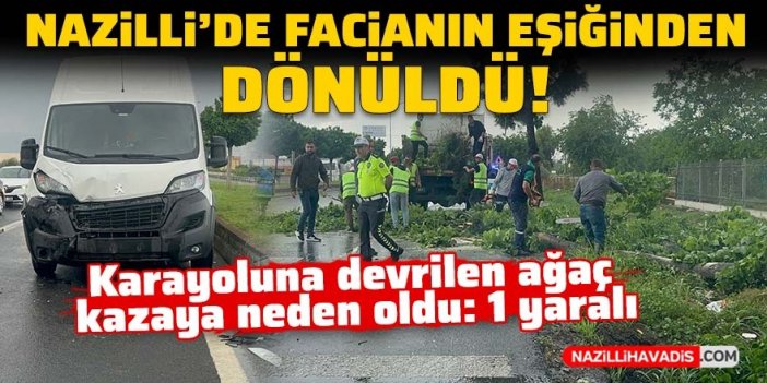 Nazilli’de kara yoluna devrilen ağaç kazaya neden oldu: 1 yaralı