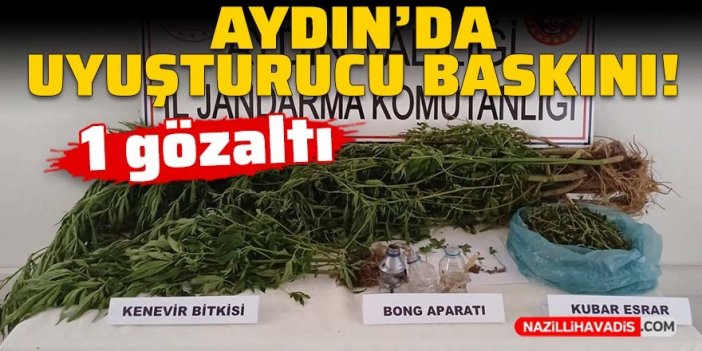 Aydın’da uyuşturucu baskını: 1 gözaltı