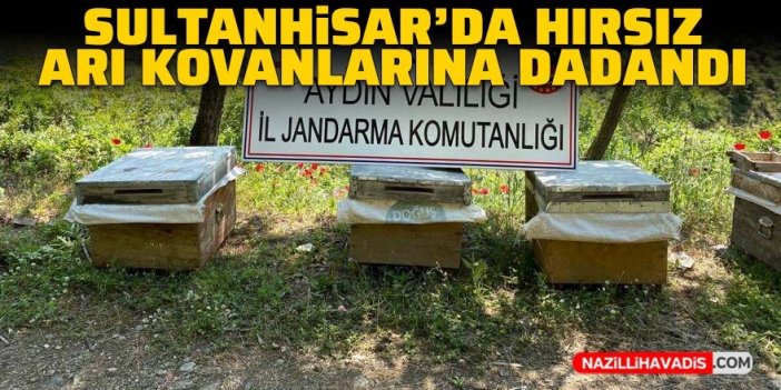 Sultanhisar’da hırsız arı kovanlarına dadandı