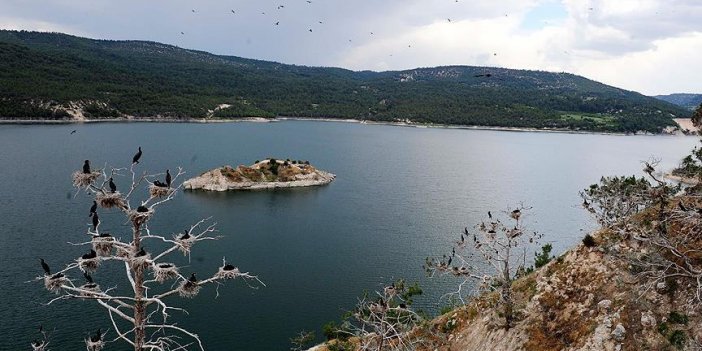 Adıgüzel Barajı'nda sevindiren gelişme