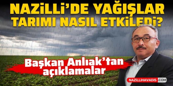 Nazilli’de yağışlar tarımı nasıl etkiledi?