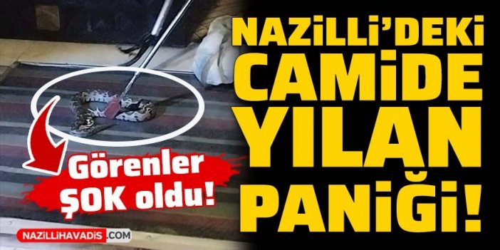 Nazilli'deki camiye giren yılan panik yarattı