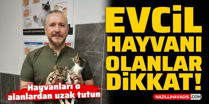 Evcil hayvanları olanlar dikkat! Hayvanları o alanlardan uzak tutun