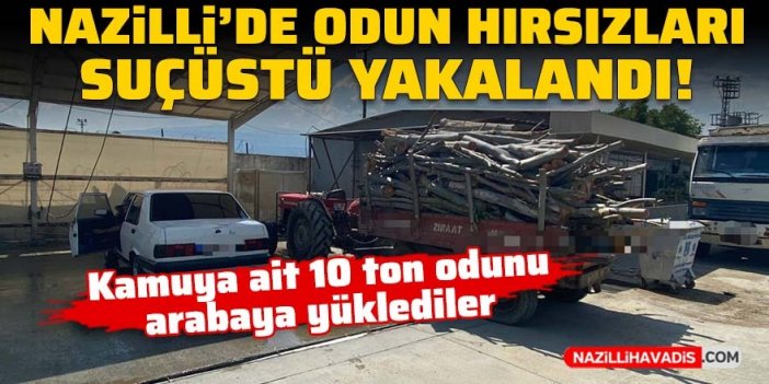 Nazilli’de odun hırsızları suçüstü yakalandı