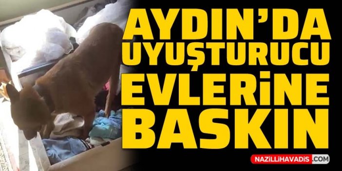 Aydın'da uyuşturucu evlerine baskın