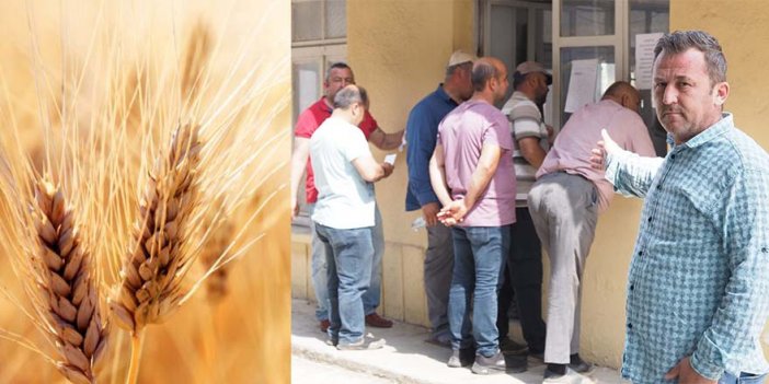 Nazilli’de buğday üreticisi dertli! Hasat mevsiminde ‘randevu’ çilesi