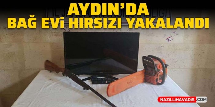 Aydın’da bağ evi hırsızı yakalandı