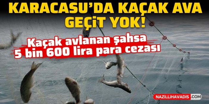 Karacasu’da kaçak ava geçit yok