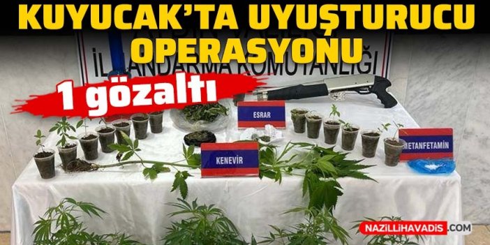 Kuyucak’ta uyuşturucu operasyonu: 1 gözaltı