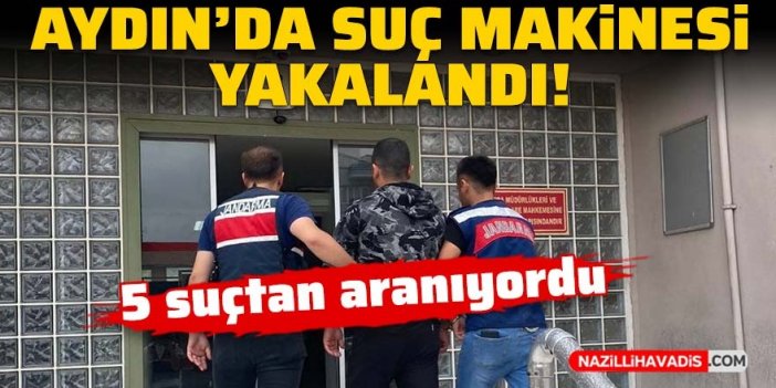 Aydın'da suç makinesi yakalandı! 5 suçtan aranıyordu